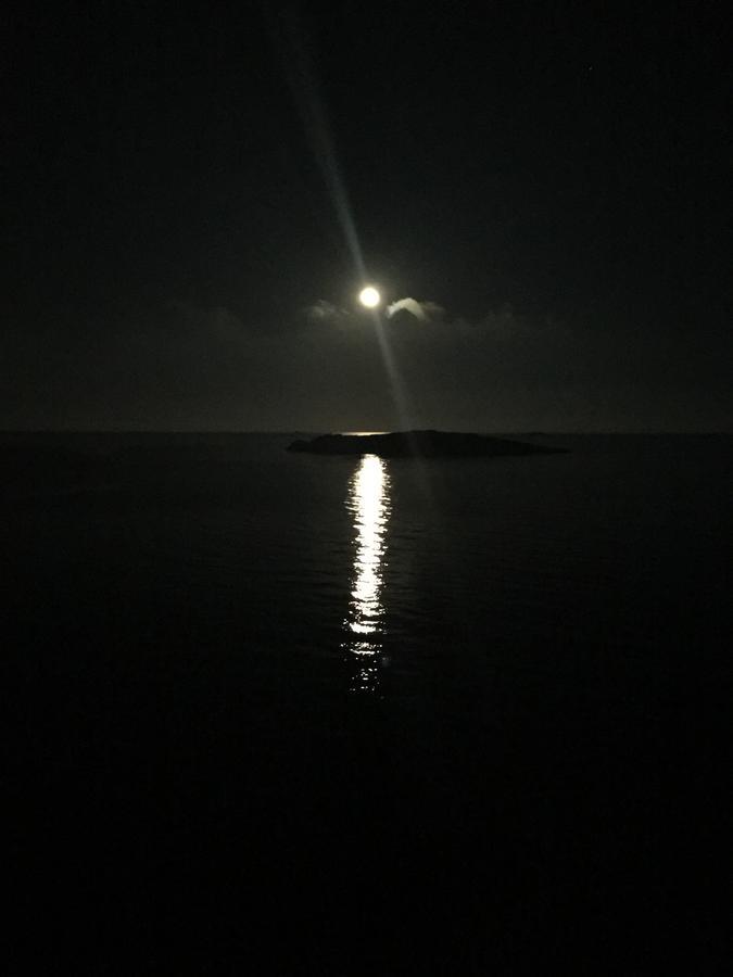 One Bedroom Apartment With An Extra Room And Sea View,595698243:JPEG