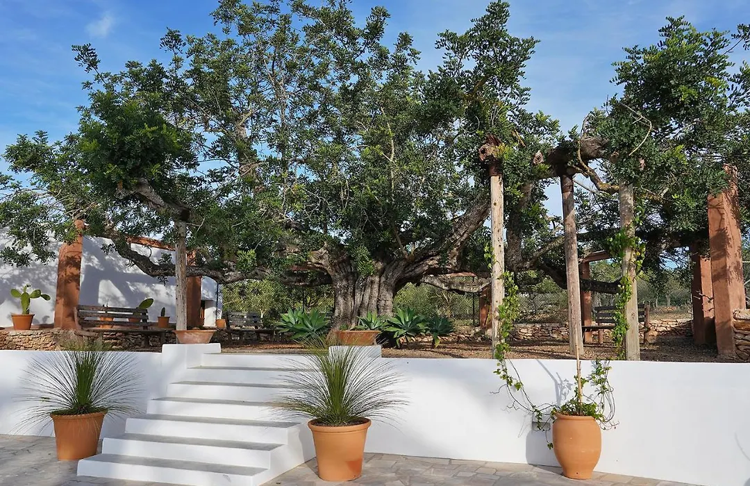 Villa Can Vicent Den Costa-1
