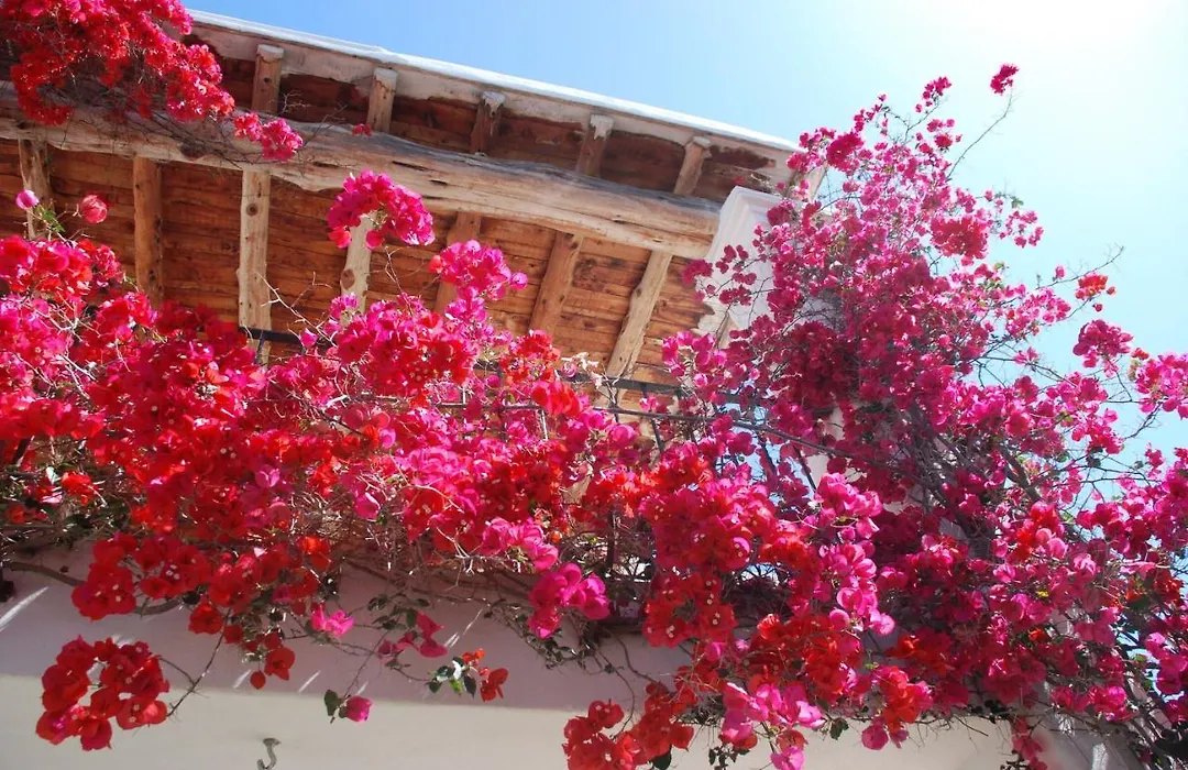 Villa Nils - Santa Eulalia-1