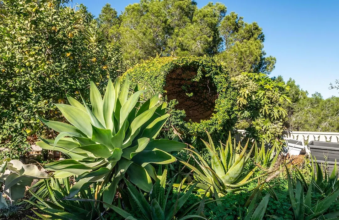 Bonaire-1