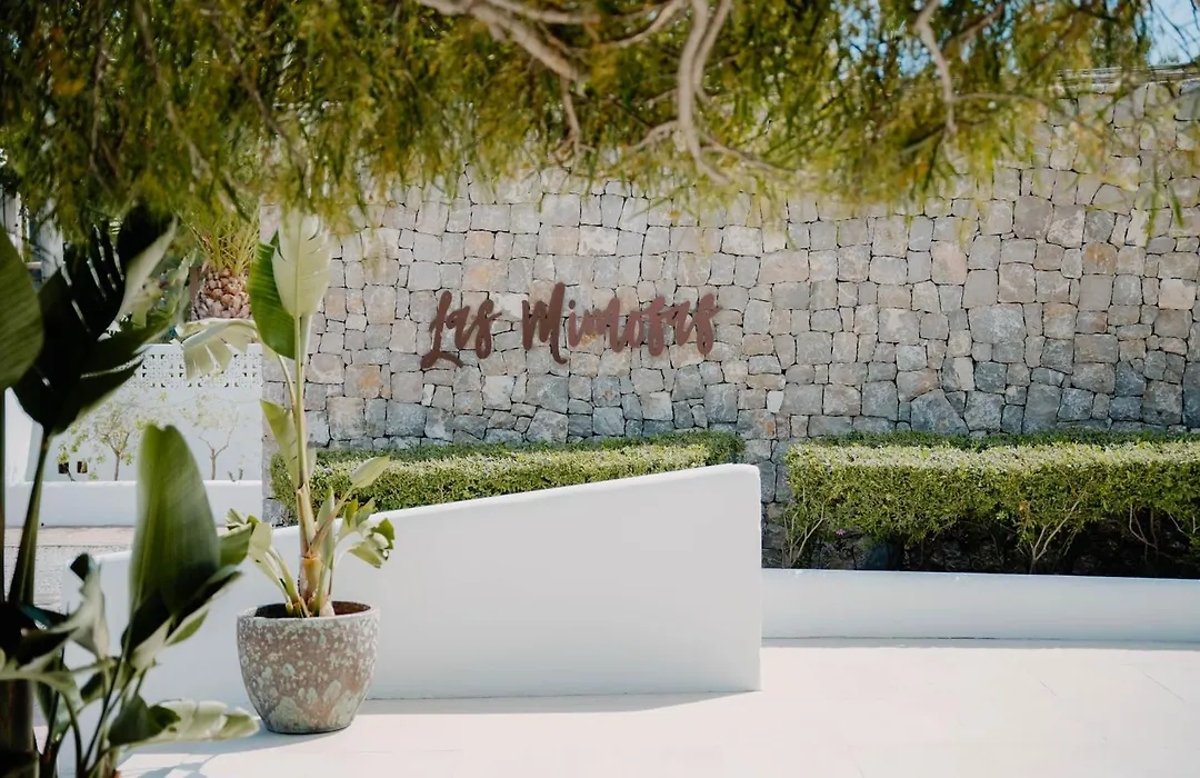 Hotel Boutique & Spa Las Mimosas Ibiza (Adults Only)-1
