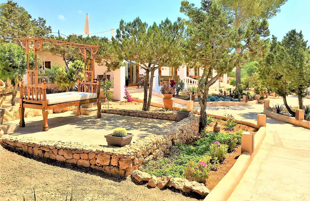 Petunia Ibiza-1