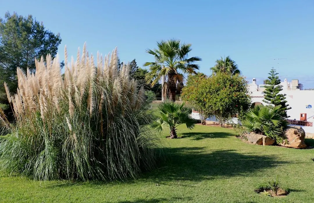 Villa Bellissima-1