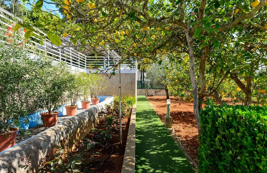 S'Hort Des Baladres Ibiza Villa-1