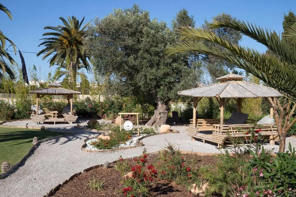 Ibizazen-1