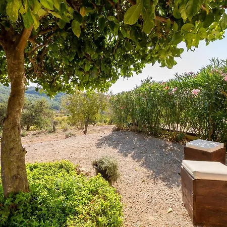 Tipica Casa Rural Ibicenca Con Piscina Privada!-2