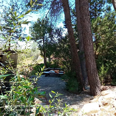 Estudio En Plena Naturaleza ,2-3