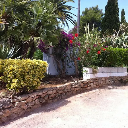 Ibiza - Bungalows Siesta A 50Mt Dal Mare-3