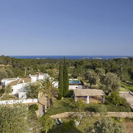 Villa Ivy - San Carlos-2