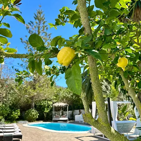 Stylish Ibiza Villa Near Beaches Private Pool & Lush Garden-2