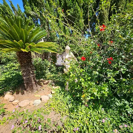 Ibiza Family retreat private pool, garden under palms-3