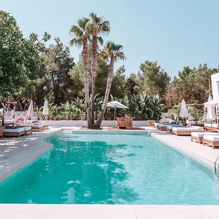 Hotel Boutique & Spa Las Mimosas Ibiza (Adults Only)-3