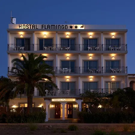 Hostal Flamingo By Nest-3