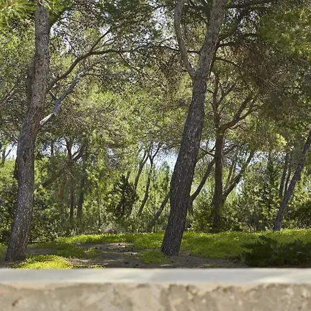 Villa Es Raig Ibiza-2