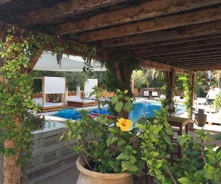Acora Ibiza-2