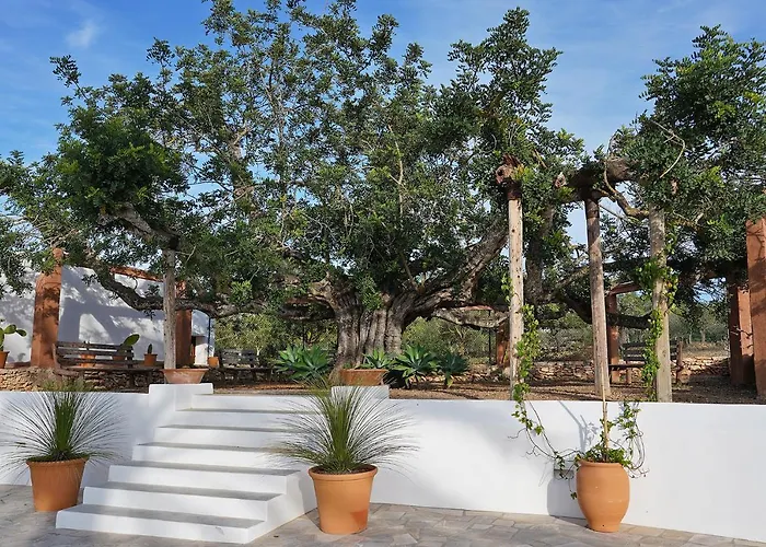 Villa Can Vicent Den Costa Sant Antoni de Portmany che accetta animali