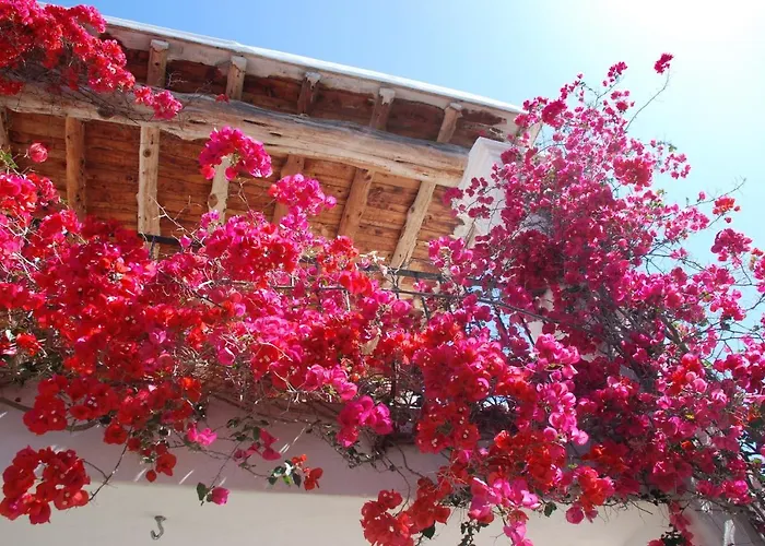 Villa Nils - Santa Eulalia Santa Eulària des Riu acceptant les animaux