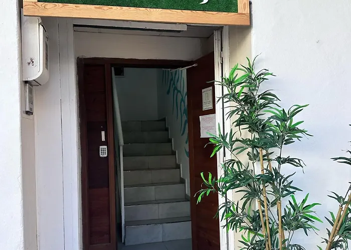 Cisne By Nest Hostel San Antonio Abad