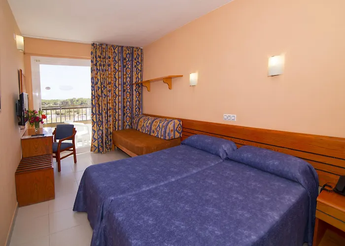Hotel Caribe Ibiza Es Cana admite animales