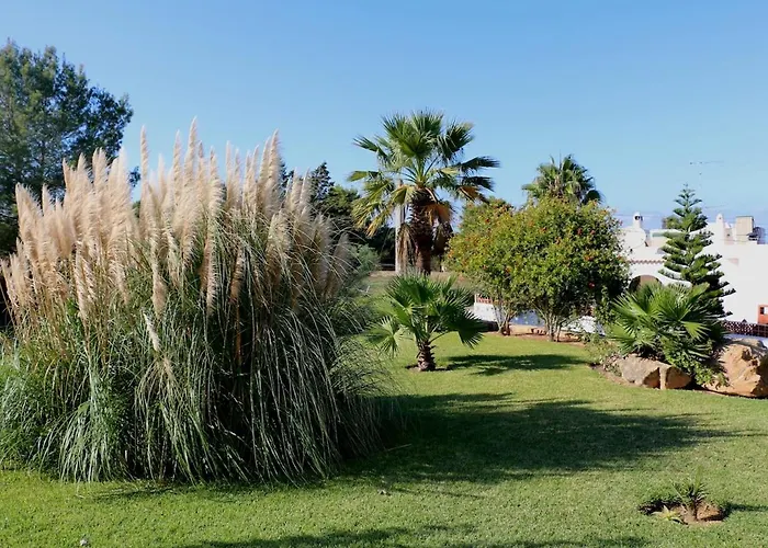 Villa Bellissima San Antonio 