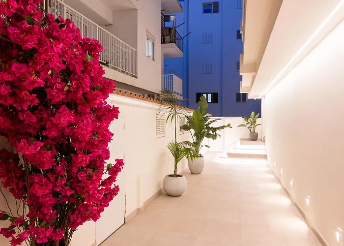 Malacosta A - Mc Apartments Ibiza acceptant les animaux