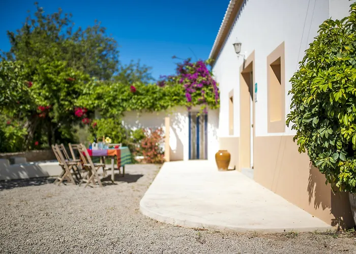 Hotel Concava Camp Sant Antoni de Portmany che accetta animali