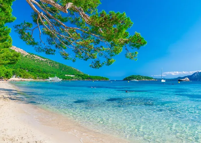 04 Rey 2 Rooms Next To Beach Ibiza acceptant les animaux